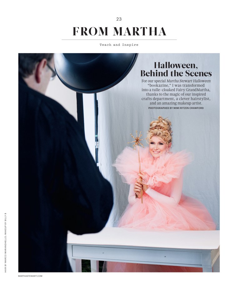 023_MSColumn_L1013MSCAF-1