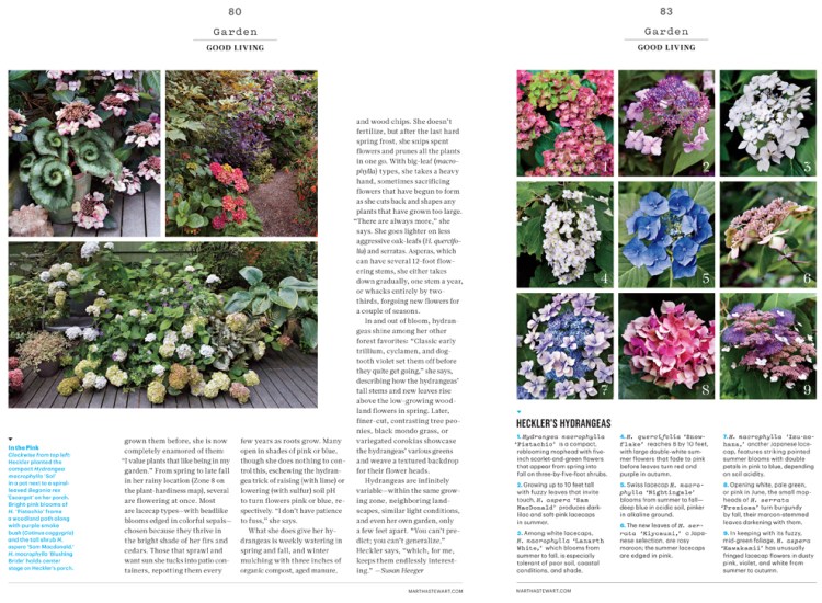 080_Garden_L0714GLVEF