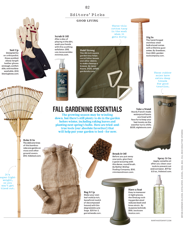 082_EdPicks_L1014GLVBFR