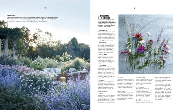 111_REV_Bluhdorn_L0914WELDFR2