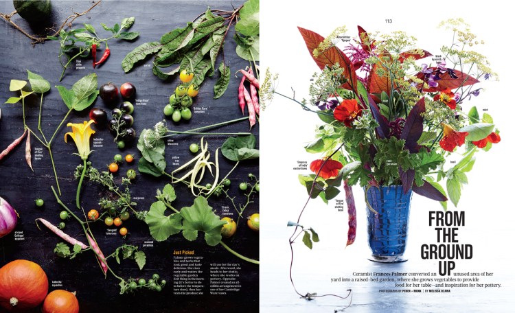 113_FrancesPalmer_L0514WELBFR