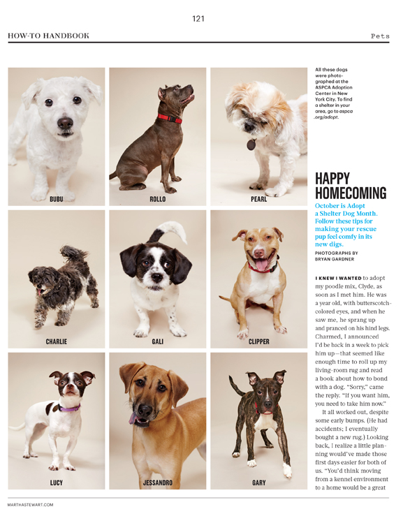 121_Pets_L1014PETAFR