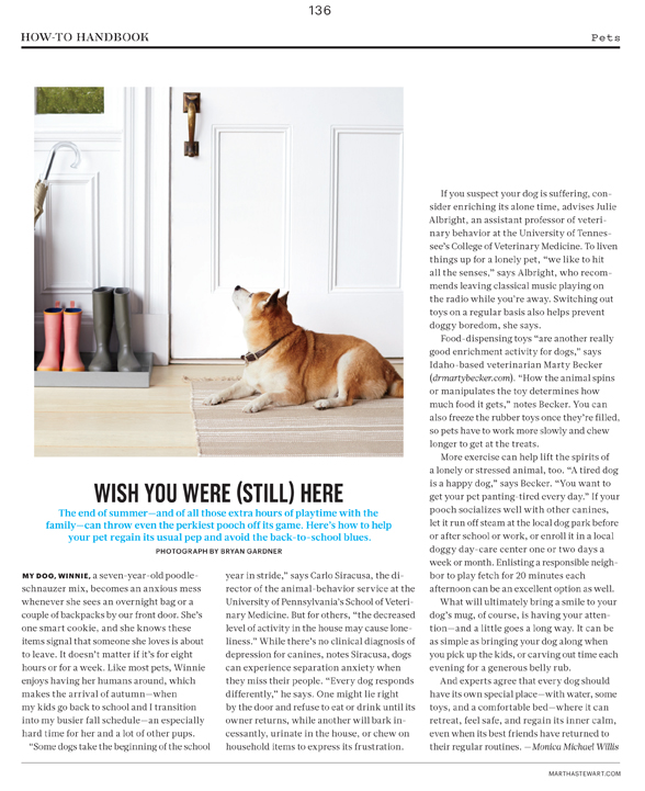 136_Pets_L0914PETAFR