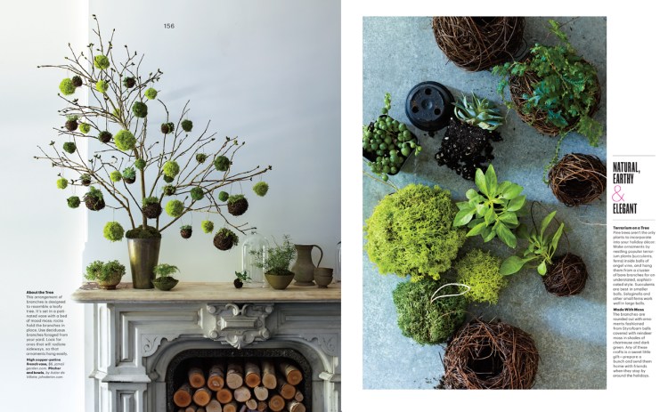 152_Trees_L1213WELDFR-5