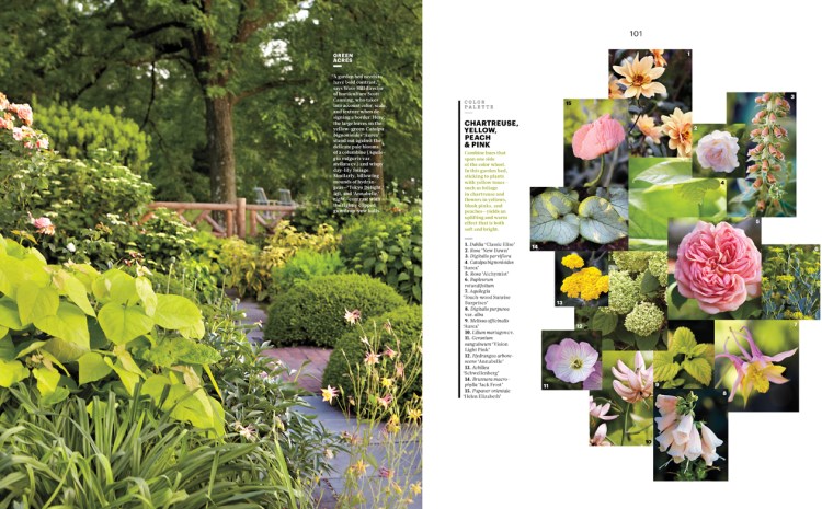 98-99 ColorLessons MSL1403_98-99-2