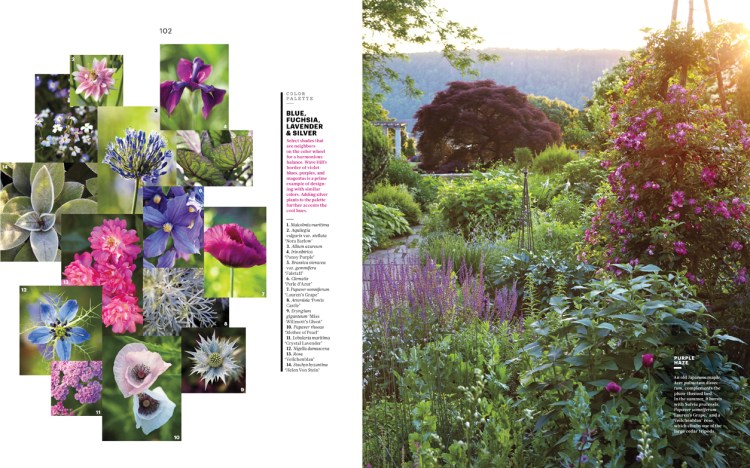 98-99 ColorLessons MSL1403_98-99-3