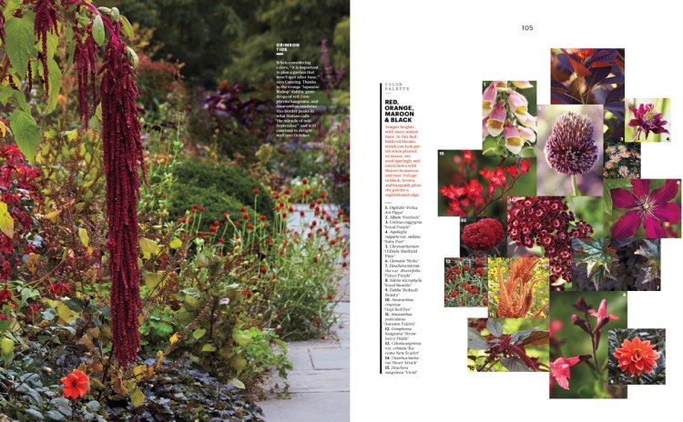 98-99 ColorLessons MSL1403_98-99-4