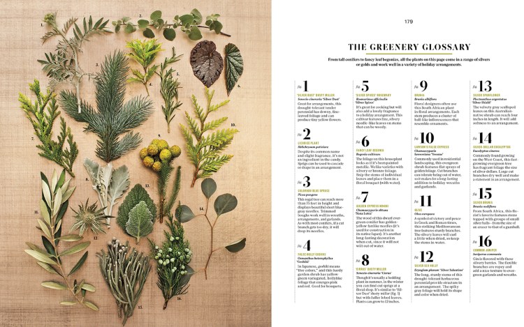 Metallics_L1213WELA-3