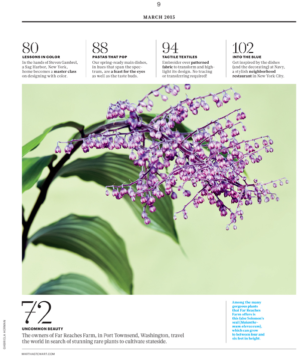 TOC__L0315TOCAF [Print].indd