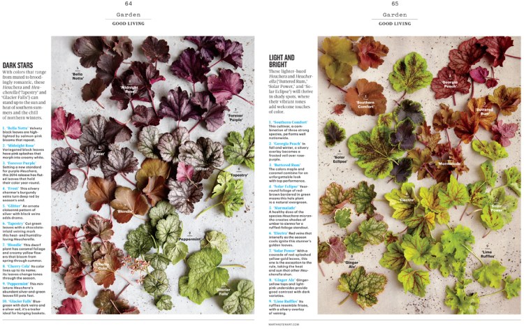 Garden_L0315GLVFR [Print].indd