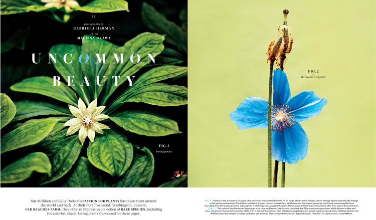 FarReachesFarm_L0315WELDFR [Print].indd