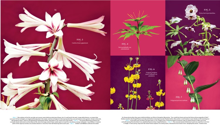 FarReachesFarm_L0315WELDFR [Print].indd