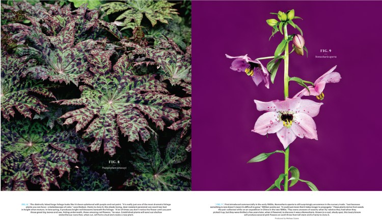 FarReachesFarm_L0315WELDFR [Print].indd