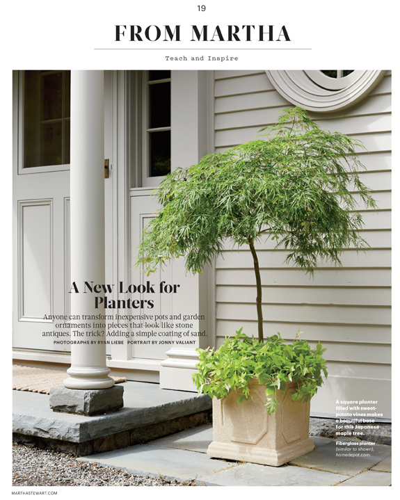 MSColumn_L0415MSCAF [Print].indd