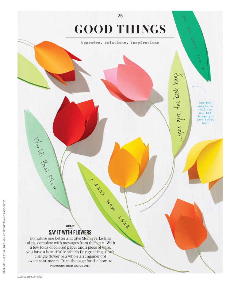 GoodThings_L0515GTHAF [Print].indd