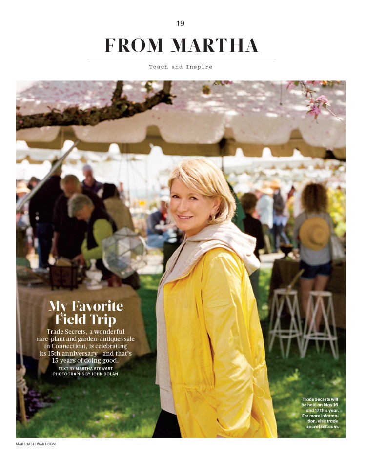 MSColumn_L0515MSCAF [Print].indd