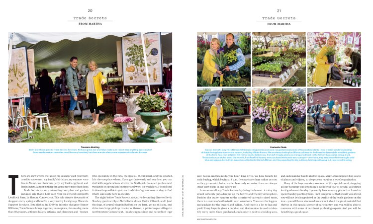 MSColumn_L0515MSCAFR [Print].indd