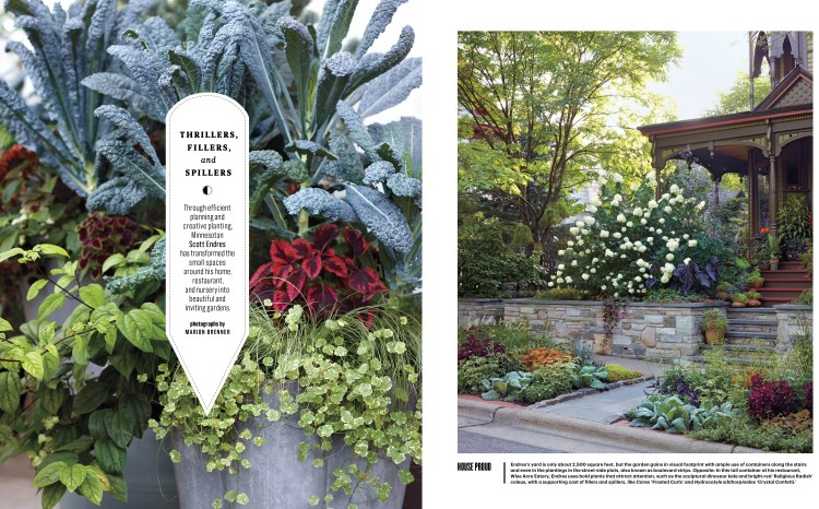 Tangletown_L0615WEL_FIRST-1