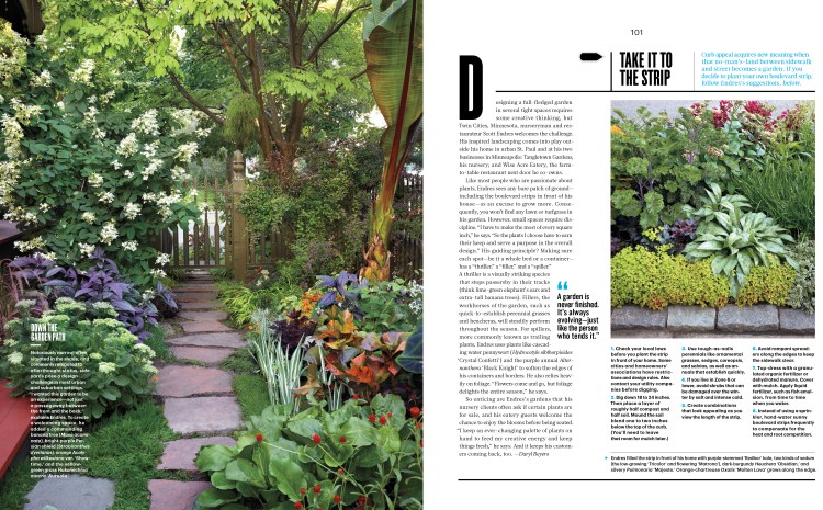 Tangletown_L0615WEL_FIRST-2