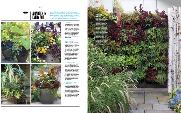 Tangletown_L0615WEL_FIRST-3