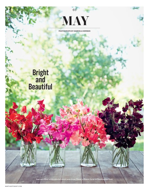 WellOpener_L0515WEOAF [Print].indd