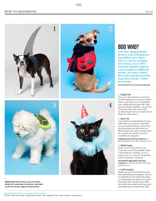 Pets_L1015PETAFR [Print].indd