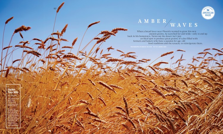 Nov Hayden Mills Well-1