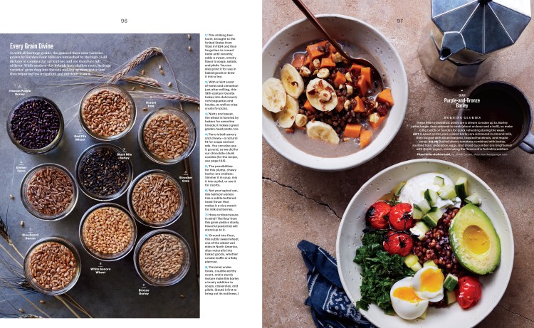 Nov Hayden Mills Well-3