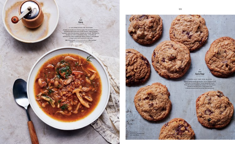 Nov Hayden Mills Well-4