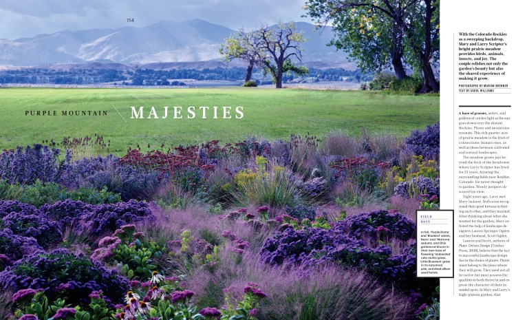 OgdenGarden_L1115WEL-1