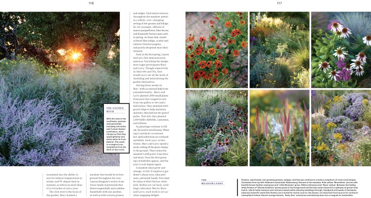 OgdenGarden_L1115WEL-2