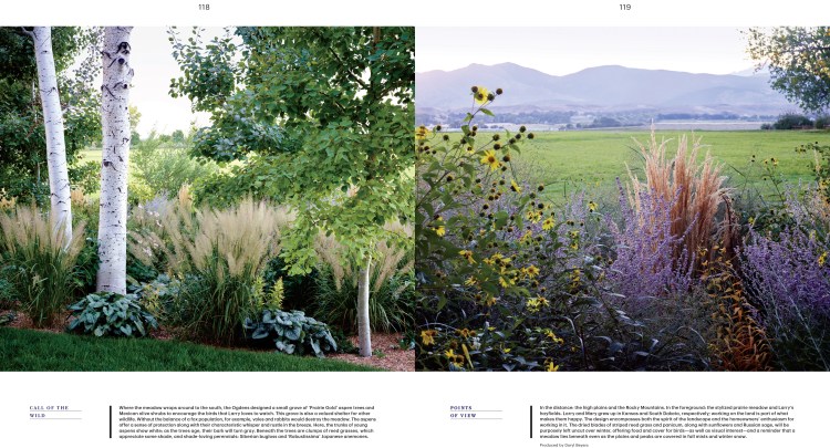 OgdenGarden_L1115WEL-3