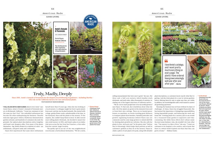 AMAnniesAnnuals_L0316GLVF [Print];23_View-1.jpg