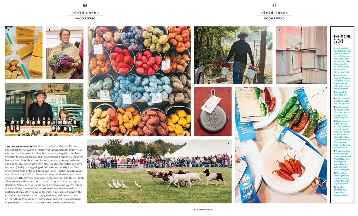 andie-diemer-martha-stewart-maine-1.jpg