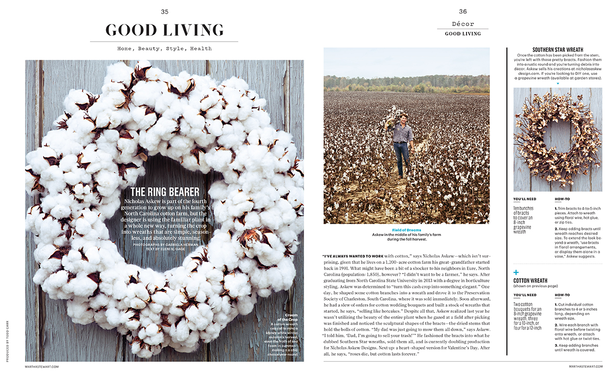 andie-diemer-martha-stewart-cotton.jpg