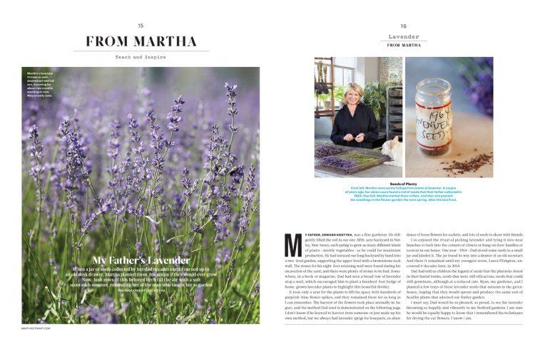 andie-diemer-martha-stewart-lavender.jpg