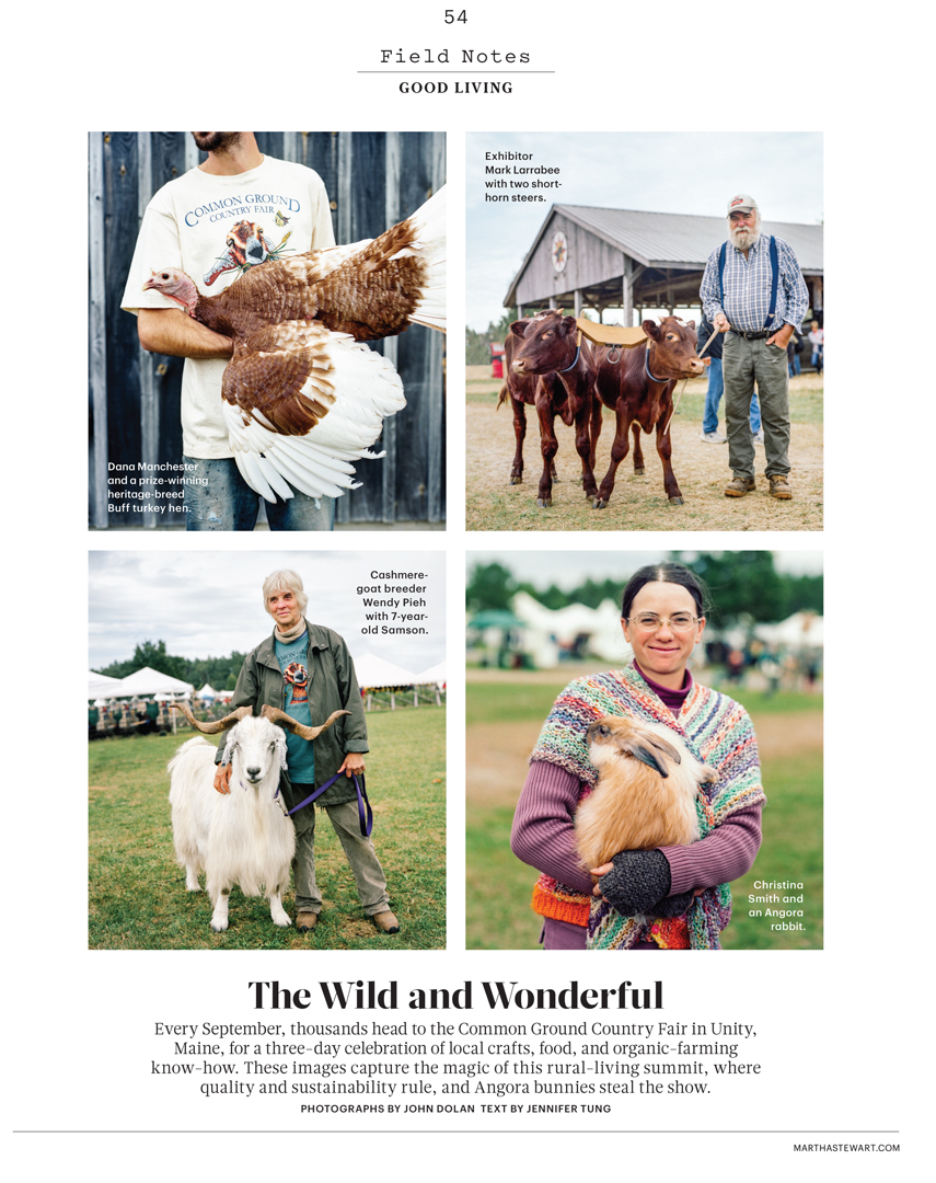 andie-diemer-martha-stewart-maine-0.jpg